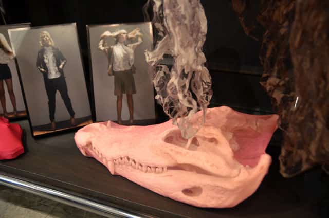 Wonder Anatomie 6 Wonder Anatomie Gracie Opulanza