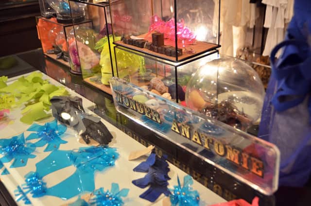 Wonder Anatomie 2 Wonder Anatomie Gracie Opulanza