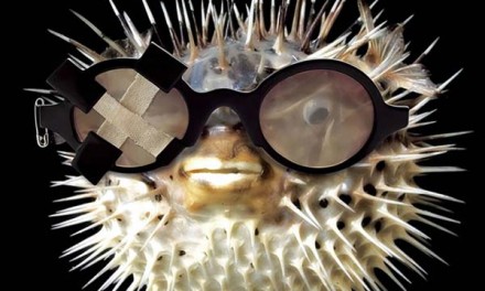 Theo Eyewear – Amazing Spectacles That Celebrities Adore