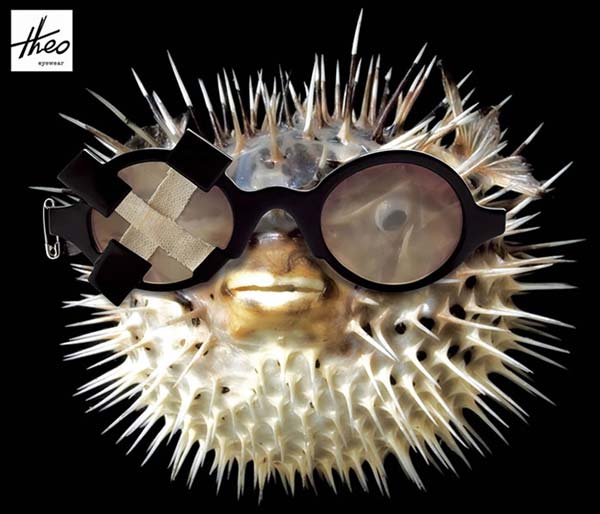 Theo Eyewear – Amazing Spectacles That Celebrities Adore