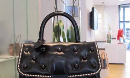 Delvaux – The Art of Craftsmanship, Leather Sourcing & The Price of Perfection