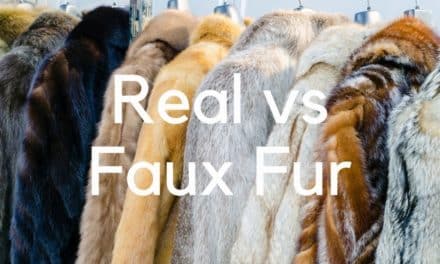 Real Fur vs Fake or Faux Fur – Can You Tell The Difference