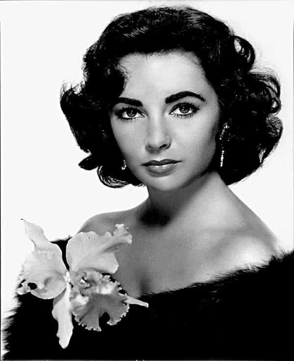 Elizabeth Taylor - Hollywood's Most Alluring Fashion Icon