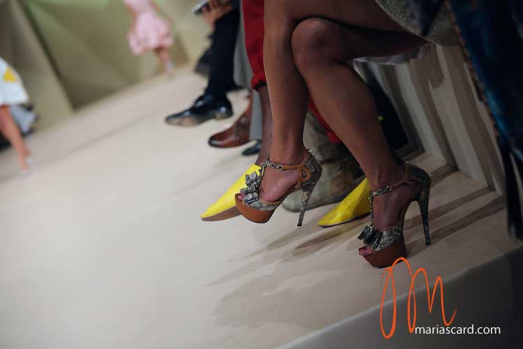 My Shoe Collection – The Financial Unhealthy Obsession