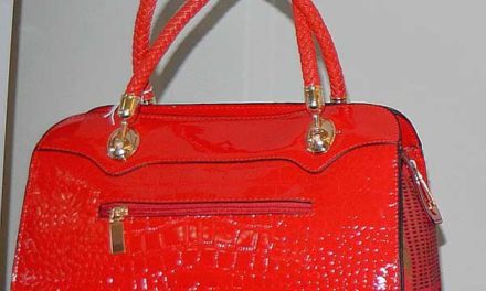 Reflexions Of A Divapreneur