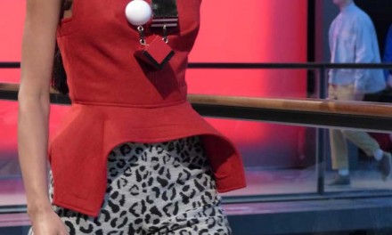 Brain & Beast – Red and Grey Rocks For 2014