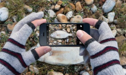 Etre Unveils – Christmas Glove Collection