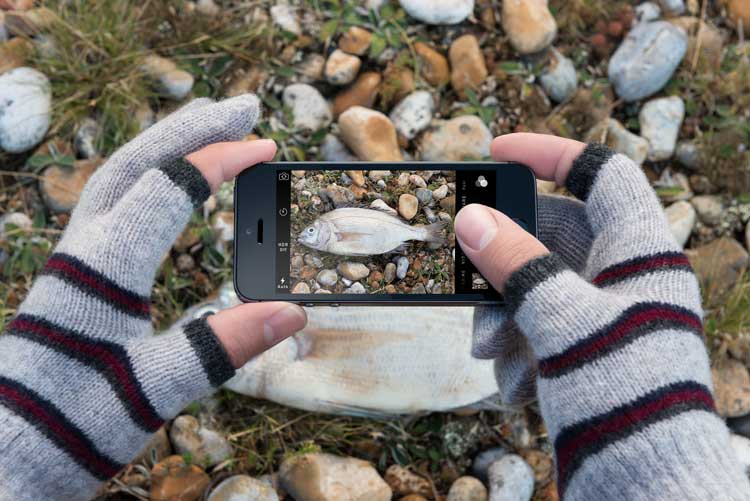 Etre Unveils – Christmas Glove Collection