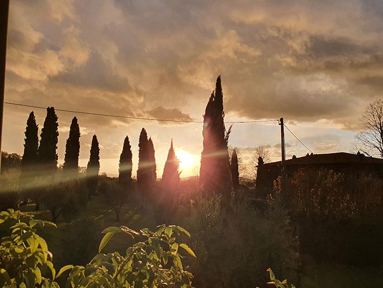 Fattoria Mansi Bernardini Italy garden Tuscany Italy (4)
