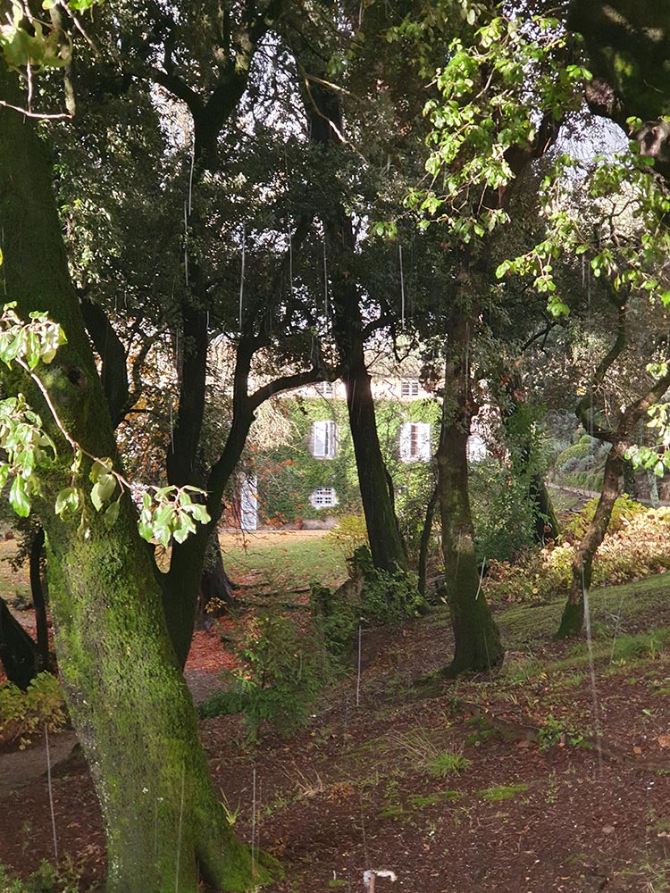 Fattoria Mansi Bernardini Italy garden Tuscany Italy (4)