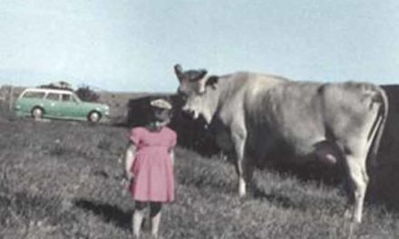 Compassion Is In The Fashion My Anti Bullying Message