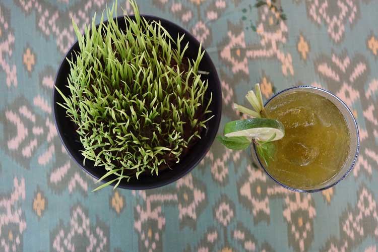 komenaka-samara-ubud-menstylefashion-indonesia-ubud-2016-23