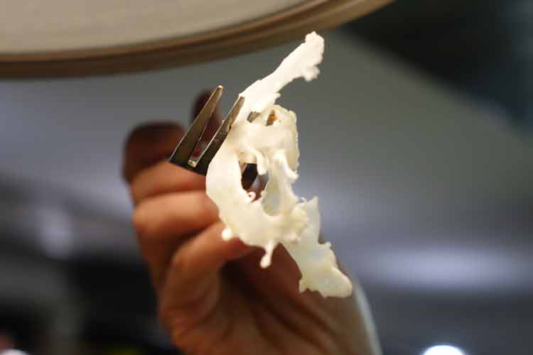 Chef Norbert Niederkofler - Respect The Produce & The Producer