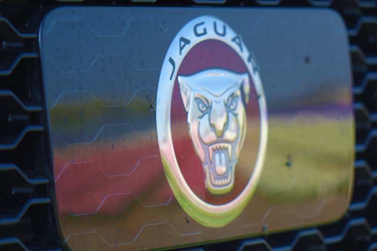 Jaguar F-PACE Model S - Luxury Family Car On 22 Inch Wheels