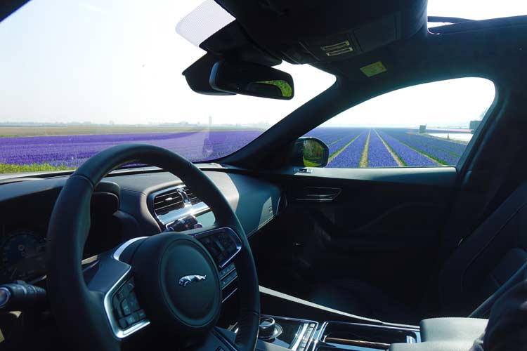 Jaguar F-PACE Model S - Luxury Family Car On 22 Inch Wheels