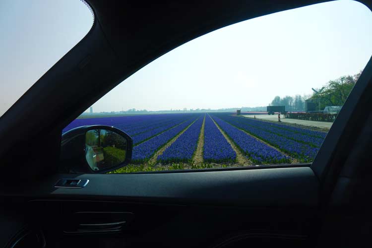 Jaguar F-PACE Model S - Luxury Family Car On 22 Inch Wheels