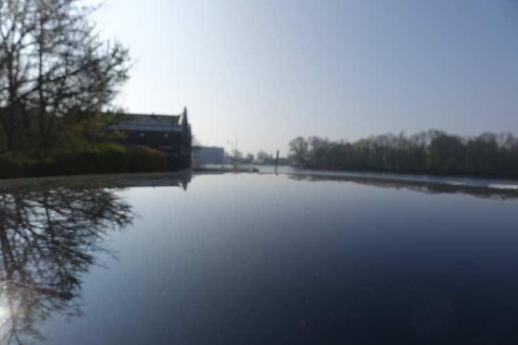 Tulip Season Holland - 7 Million Flower Bulbs Bloom In Spring