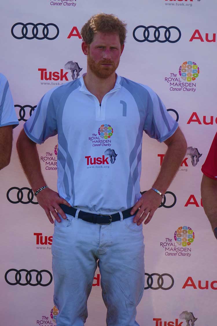 Audi Polo - HRH The Duke of Cambridge and Prince Harry