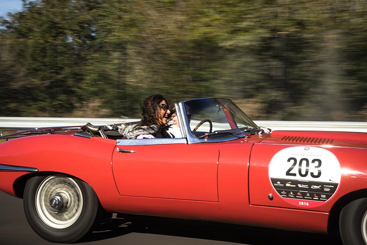 jaguar track day vintage gracie opulanza 