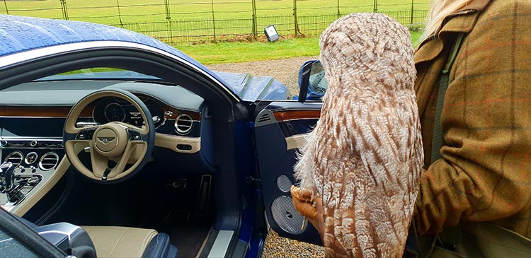 New Bentley GT Continental Grand Tourer - Luxury Car Fashion Tips