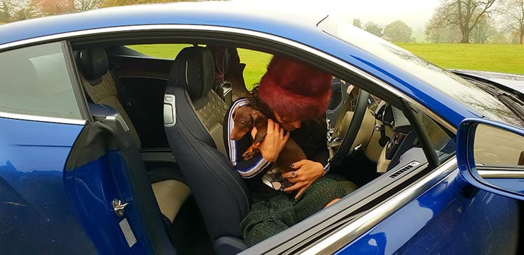 Dachshund bentley GT gracie Opulanza