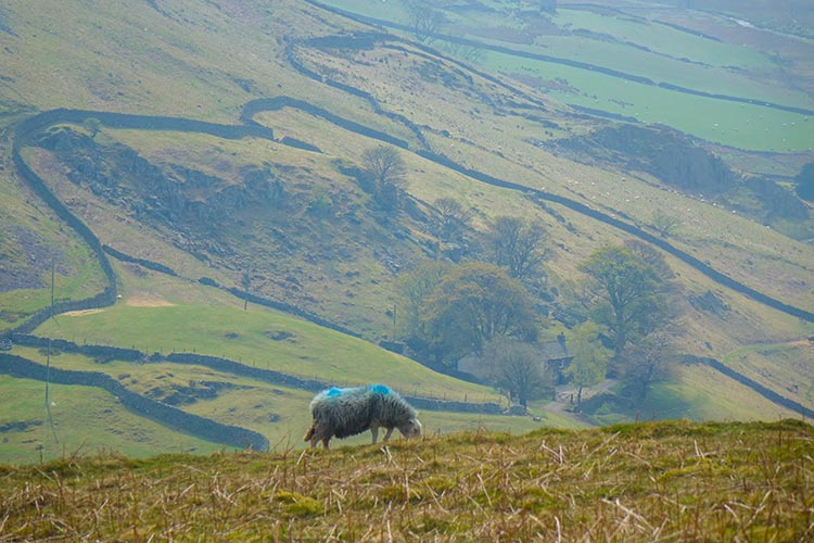 Lake District 2019 MenStyleFashion (1)