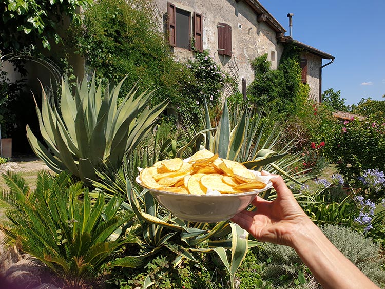 Tuscany homemade zucchini