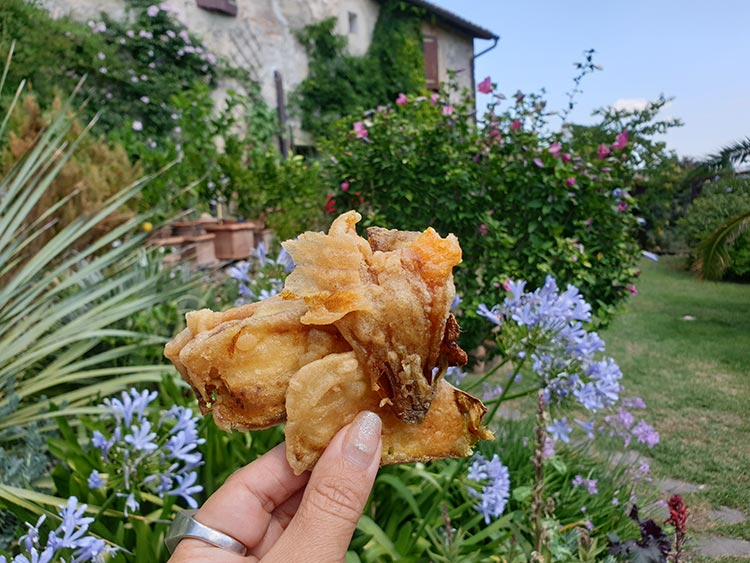 Tuscany homemade zucchini