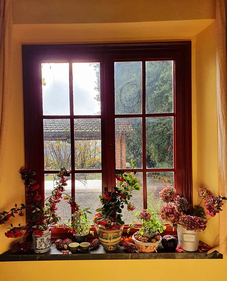 organic-christmas-window-display