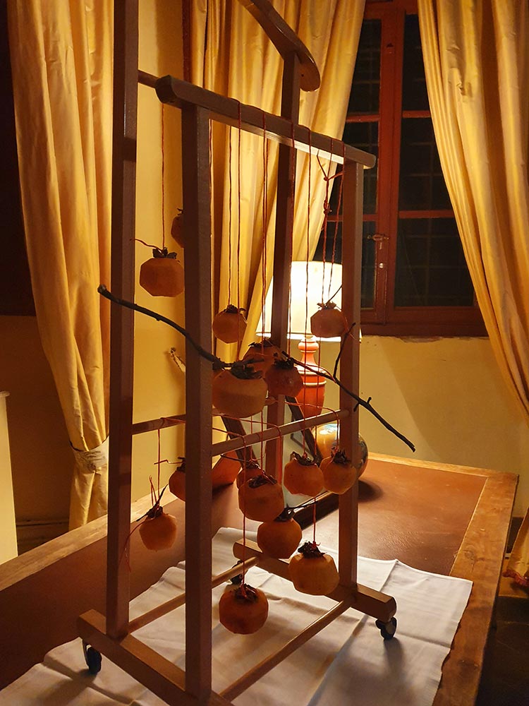 permissons-fruit-(1)