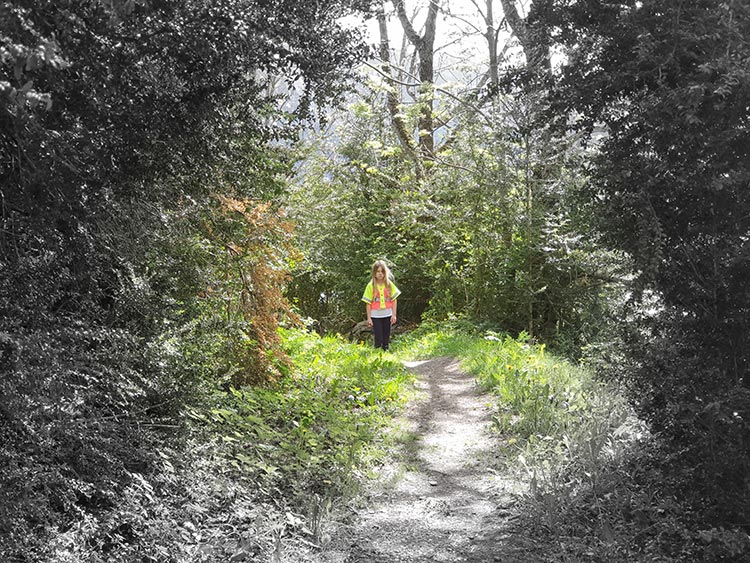 Immune System - How To Boost It During Covid 19