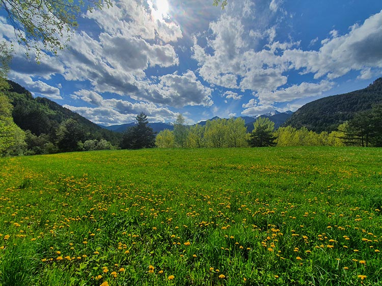 Immune System - How To Boost It During Covid 19