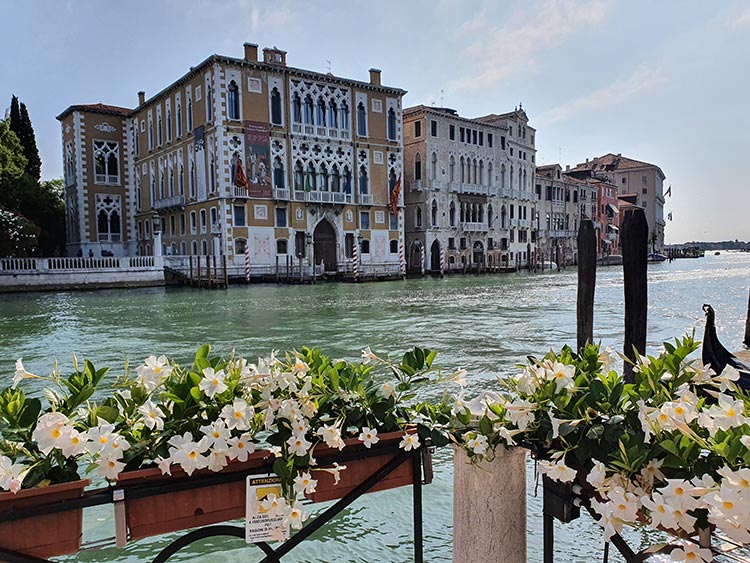 Venice grand canal 2020 covid 19 italy (1)