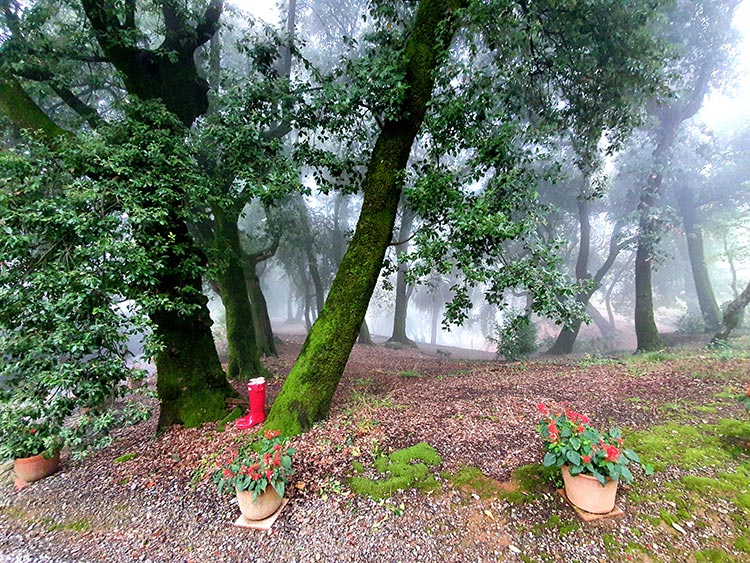 Rockfish Rubber Boots - Countryside Comfortable Footwear