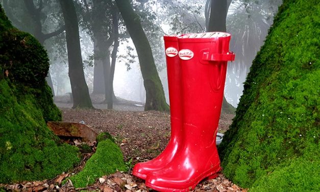 Rockfish Wellington Boots – Countryside Comfortable Footwear