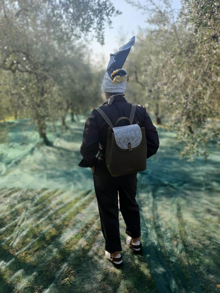 Fattoria Mansi Bernardini Gracie Opulanza 2020 Olive Trees (1)