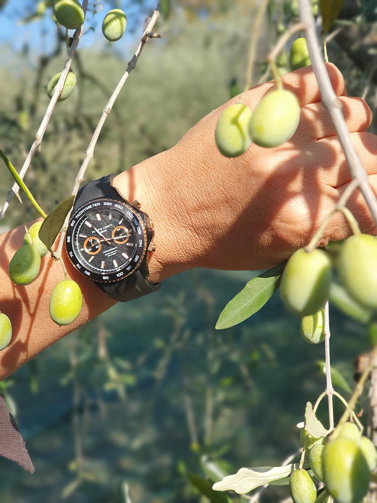 Fattoria Mansi Bernardini Gracie Opulanza 2020 Olive Trees (1)