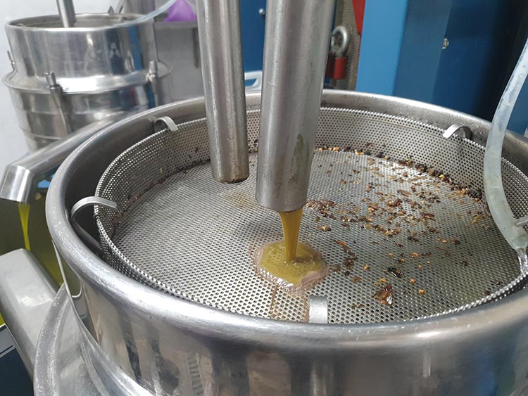 Frantoio Olive Oil Tuscany Lucca 2020 Gracie Opulanza made in italy (3)