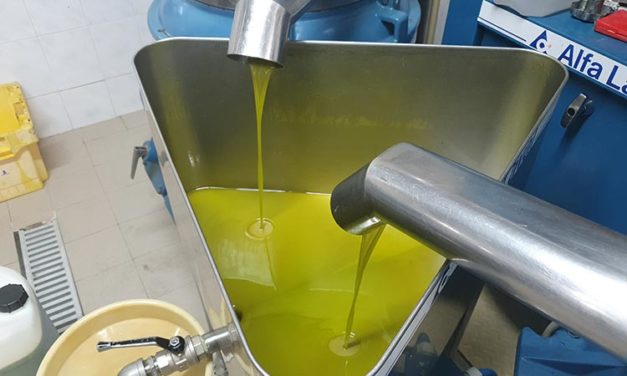 Olive Oil – How To Spot Fake Olive Oil