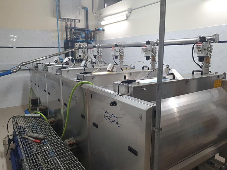 Frantoio Olive Oil Tuscany Lucca 2020 Gracie Opulanza made in italy (3)