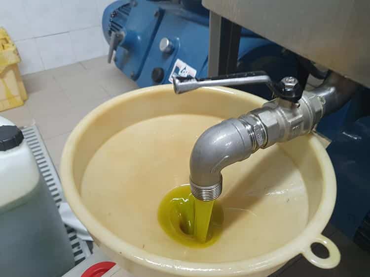 Frantoio Olive Oil Tuscany Lucca 2020 Gracie Opulanza made in italy (3)