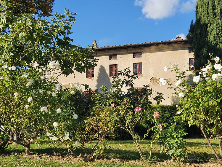 Fattoria Mansi Bernardini Lucca Tuscany (1)