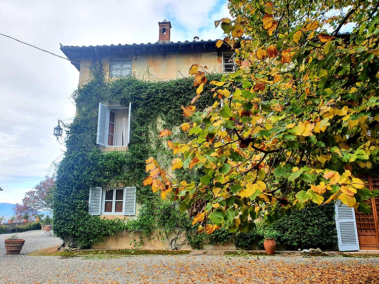 Fattoria Mansi Bernardini Lucca Tuscany (2)