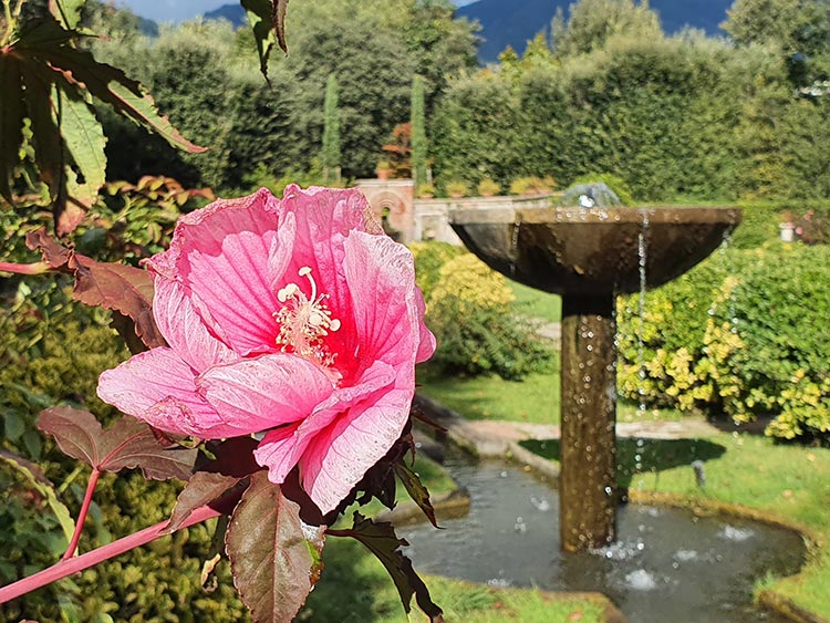 Villa Reale Tuscany Lucca Marlia (4)