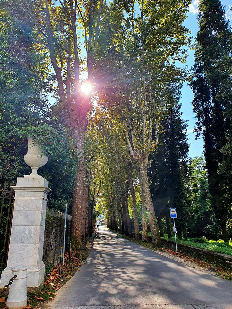 Villa Reale Tuscany Lucca Marlia (4)