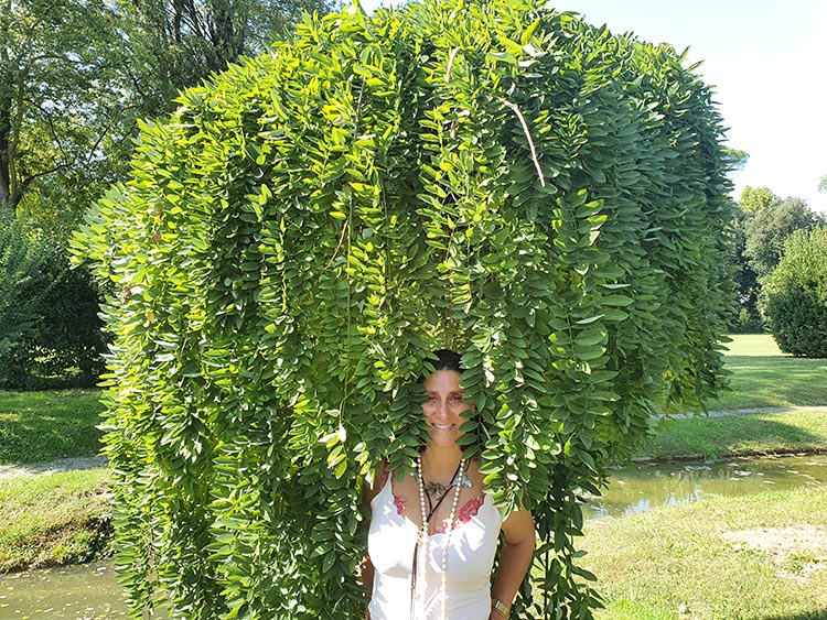 The attention to detail regarding the estate grounds has to be the most restored and maintained&nbsp; Villa gardens and surroundings I have ever come across here in Italy.