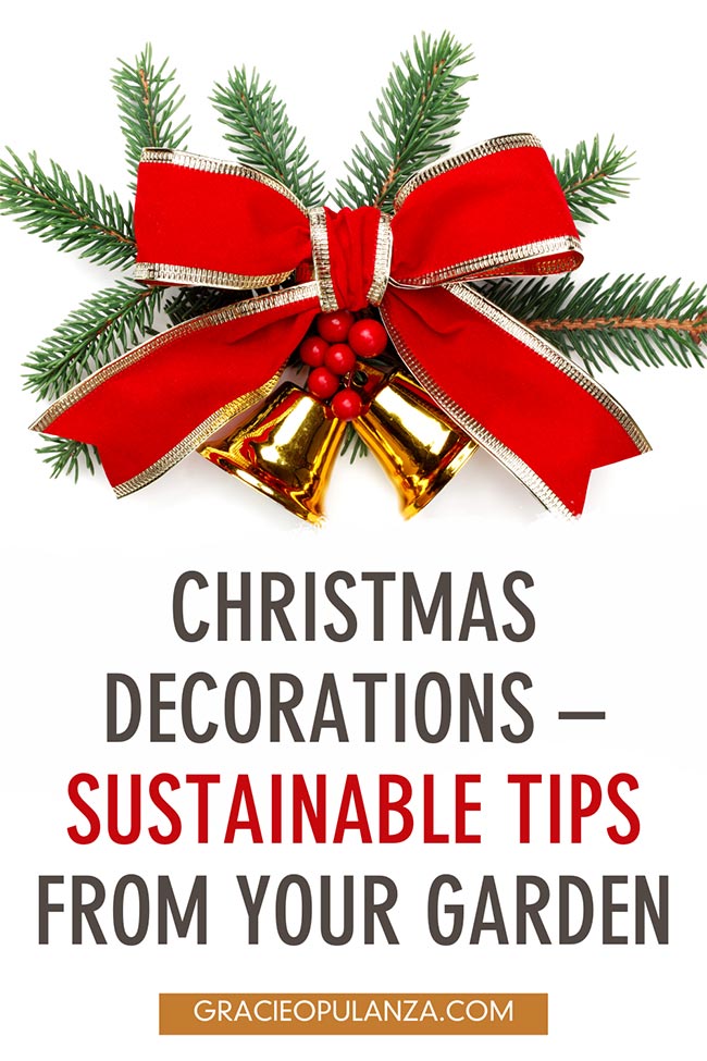 Sustainable Christmas Decorations From Your Garden