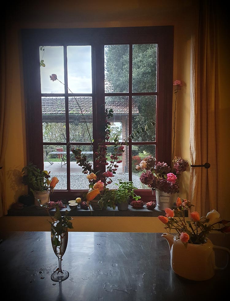 roses and cones for christmas decorations (2)