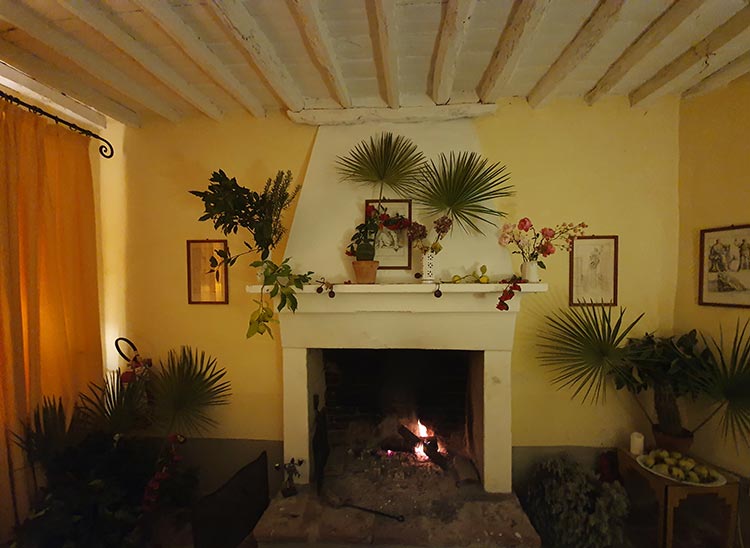 Christmas Decorations - Sustainable Tips From Your Garden