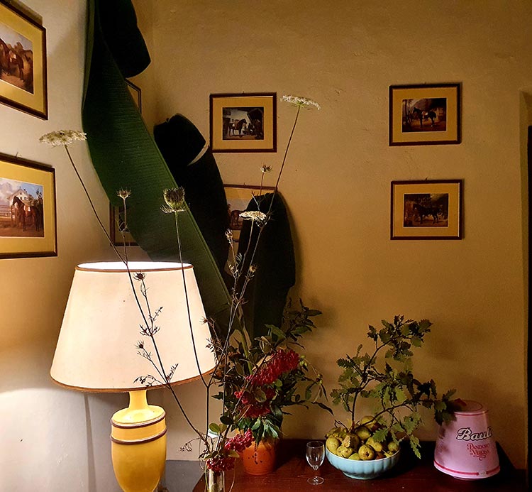 Christmas Decorations - Sustainable Tips From Your Garden